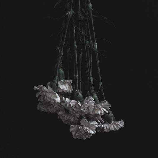 Frustino - Laid To Waste - Vinile