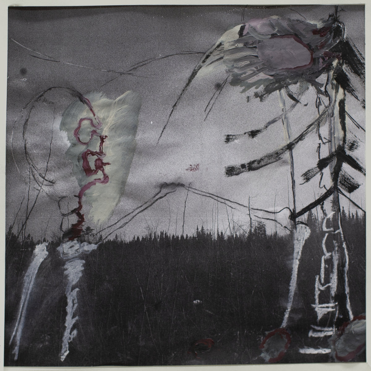 Albatros - Correct - Vinyl