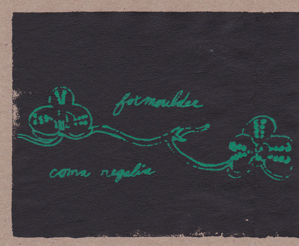 Foxmoulder / Coma Regalia- Split - 5" Vinyl