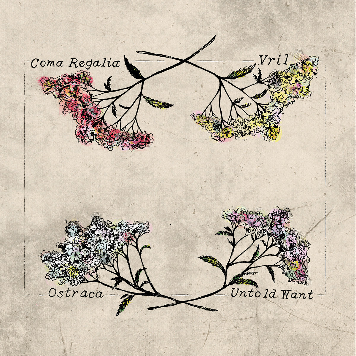 Untold Want / Ostraca / Vril (Nuvolascura) / Coma Regalia- Split - 10" Vinyl