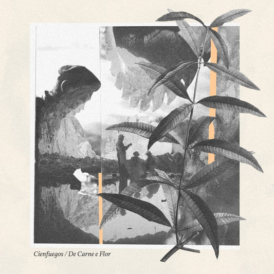 Cienfeugos / De Carne e Flor - Split - Cassetta