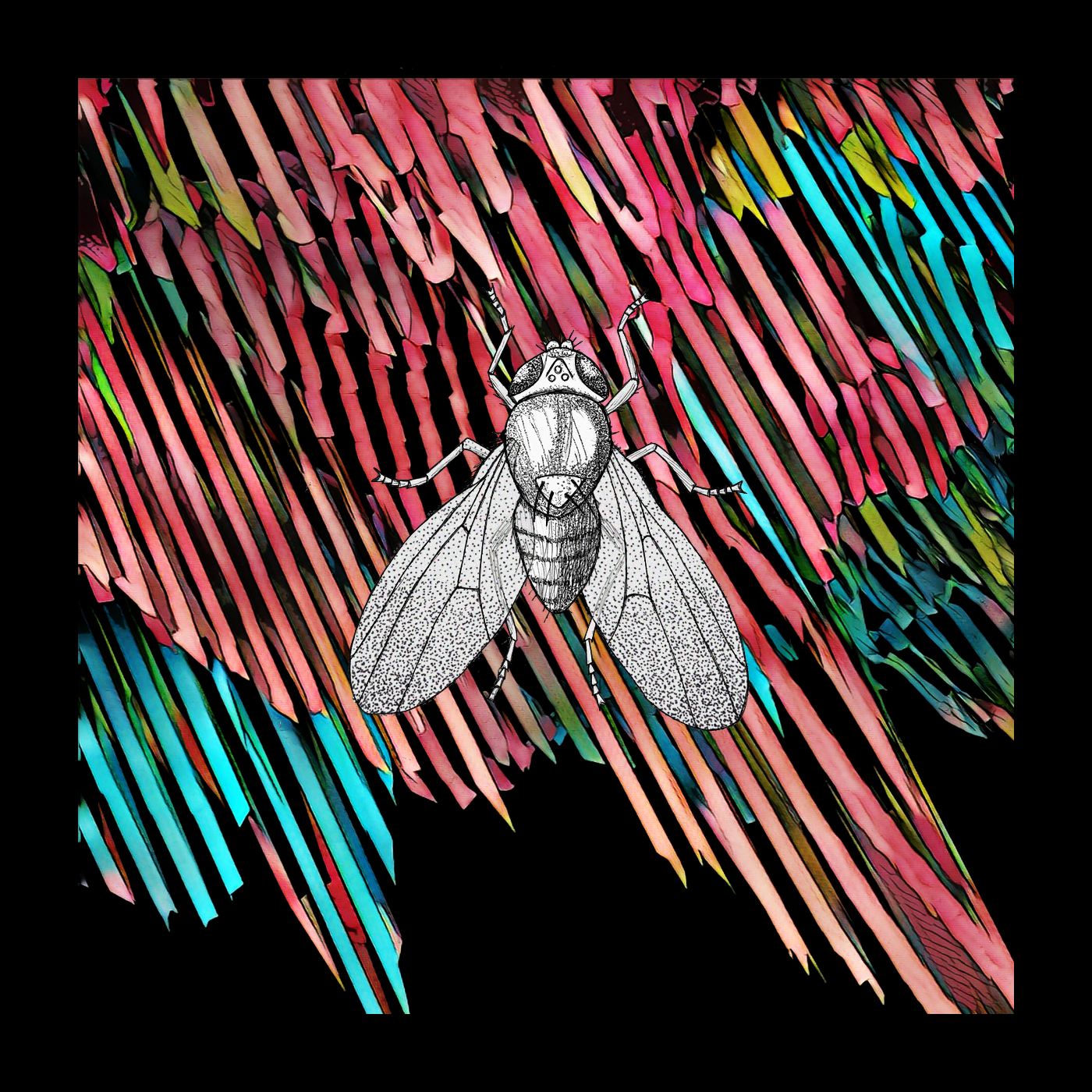 Piet Onthel / Dead Friend Collective / vecchio orgoglio / Warren of Ohms - Alone Together - Split - Cassetta
