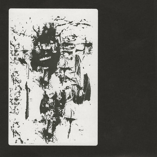 piot. / part.parasite - Split 7" - Vinyl