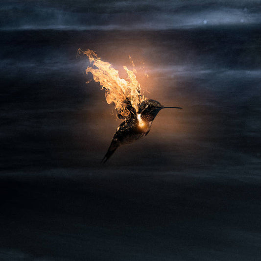 Satón - A la espera del momento - Vinyl