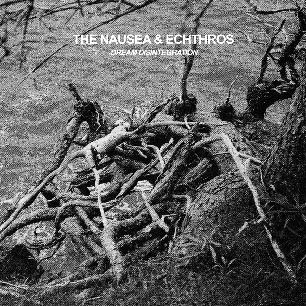 The Nausea & Echthros- Dream Disintegration - Vinyl