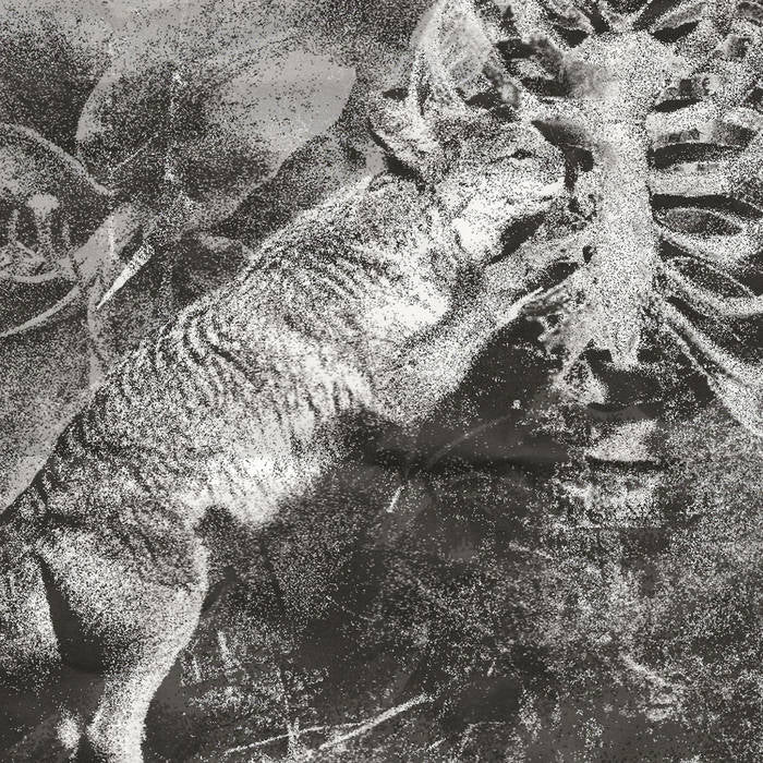 part.parasite - coyote tears through sternum- Cassette