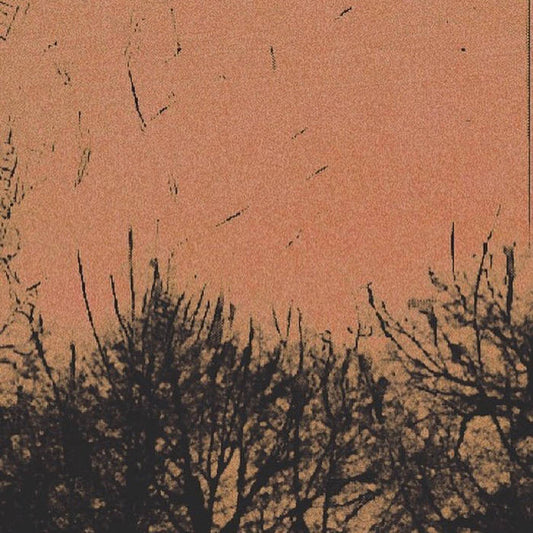 life - demo tre - Vinile