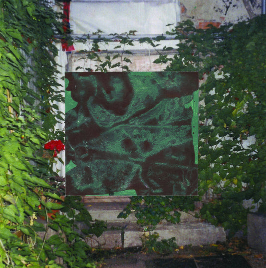 Albatros - Futile - Vinile