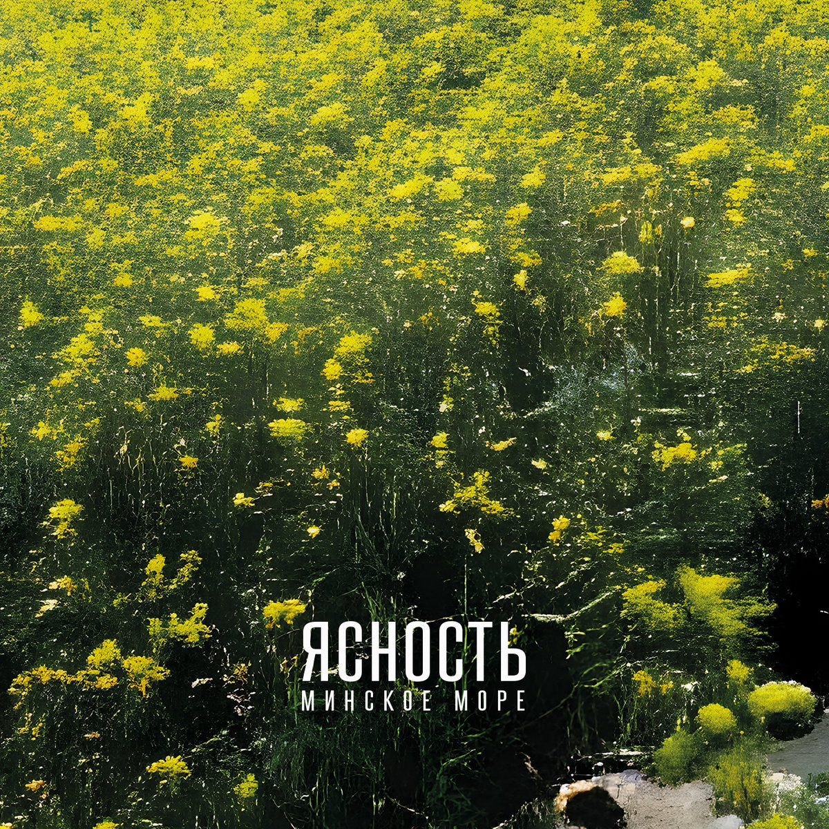 Lucidity - The Minsk Sea- Vinyl