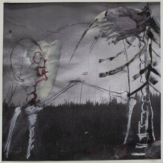 Albatros - Correct - Vinyl