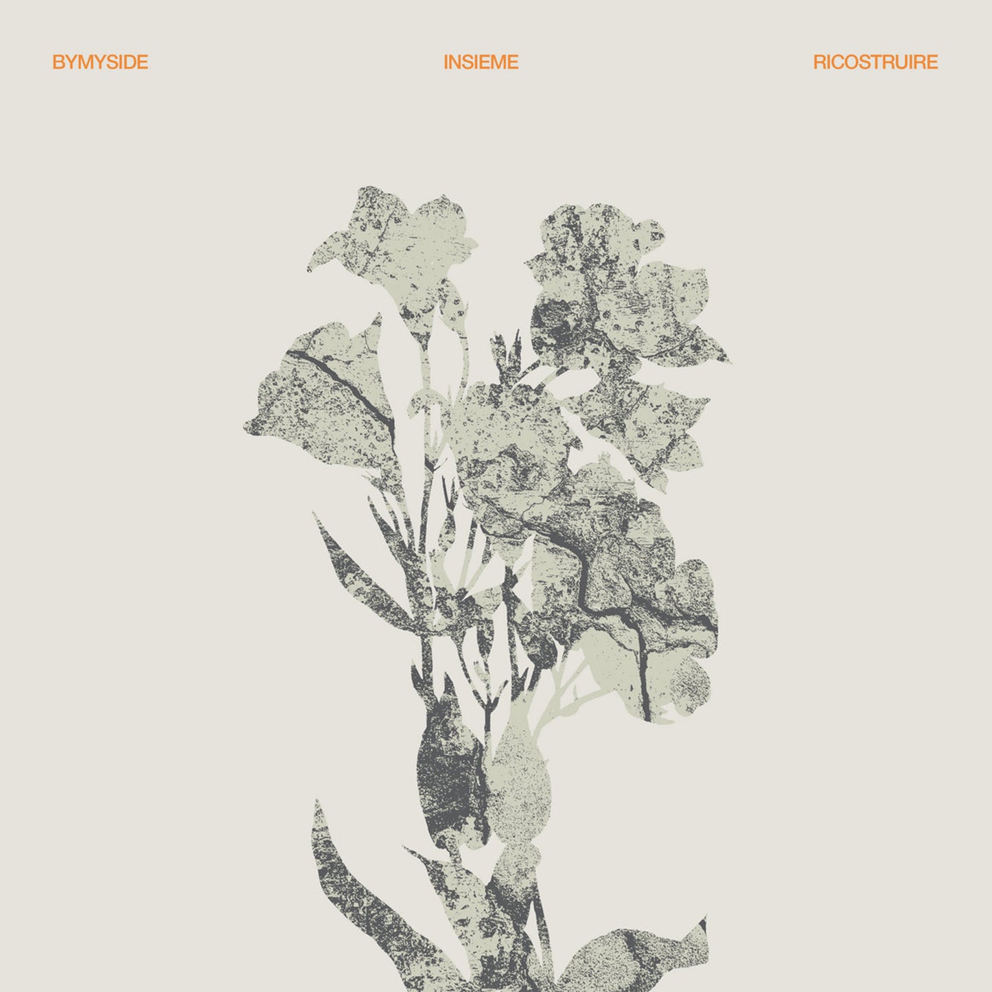 Bymyside - Insieme Ricostruire - Vinyl