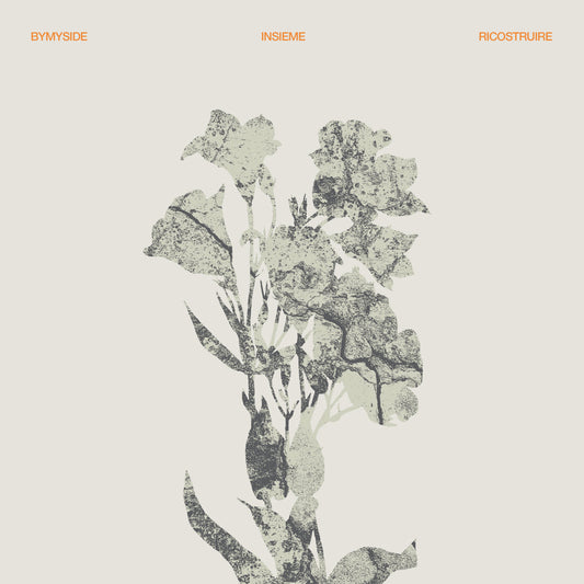Bymyside - Insieme Ricostruire - Vinyl